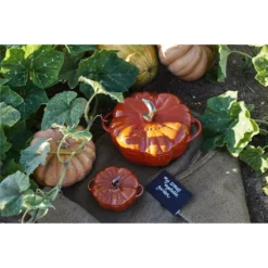 Staub Pumpkin Cocotte Cinnamon 24cm -Cookware Shop DKS 651501 3