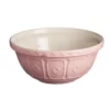 Mason Cash Colour Mix Earthenware Mixing Bowl 29cm/4L Powder Pink